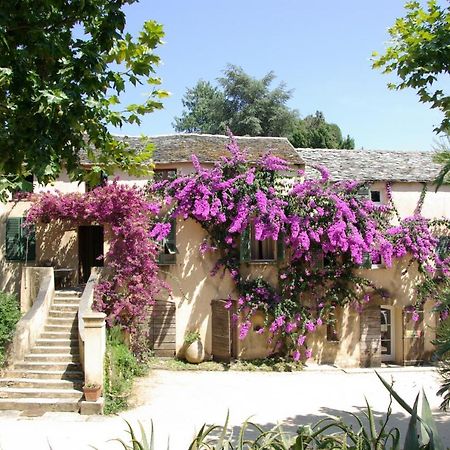 Domaine De Valle Sorbo-Ocagnano Exteriör bild