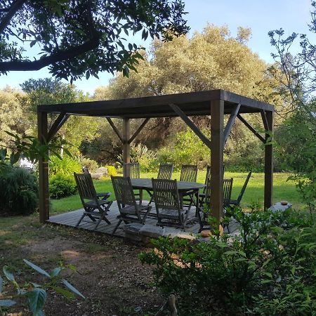 Domaine De Valle Sorbo-Ocagnano Exteriör bild