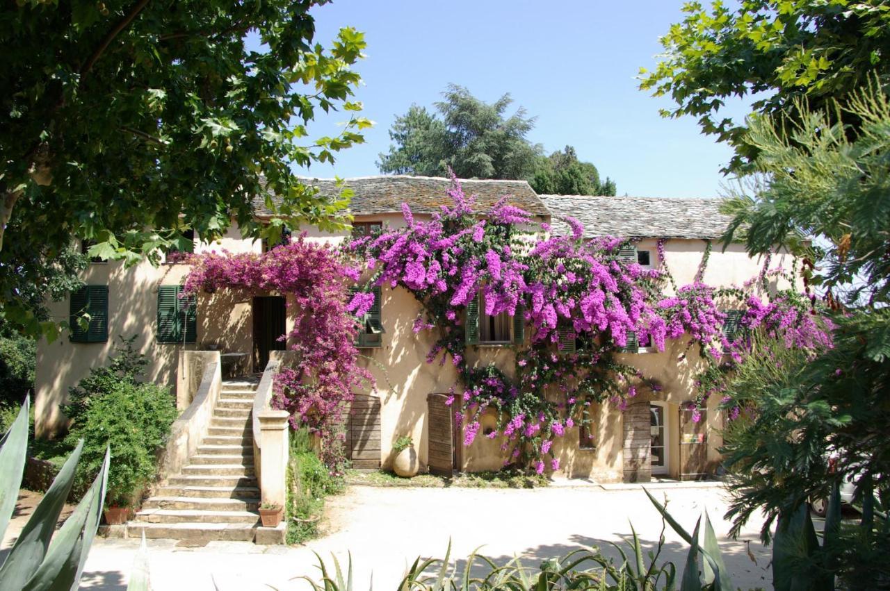 Domaine De Valle Sorbo-Ocagnano Exteriör bild