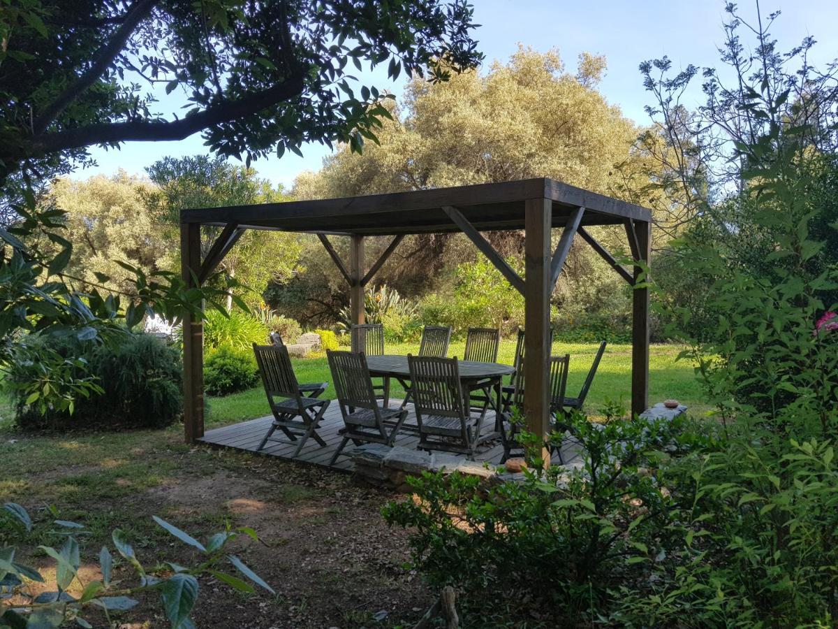 Domaine De Valle Sorbo-Ocagnano Exteriör bild